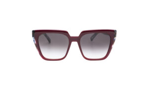 Zeus+Dione Cybele II C5